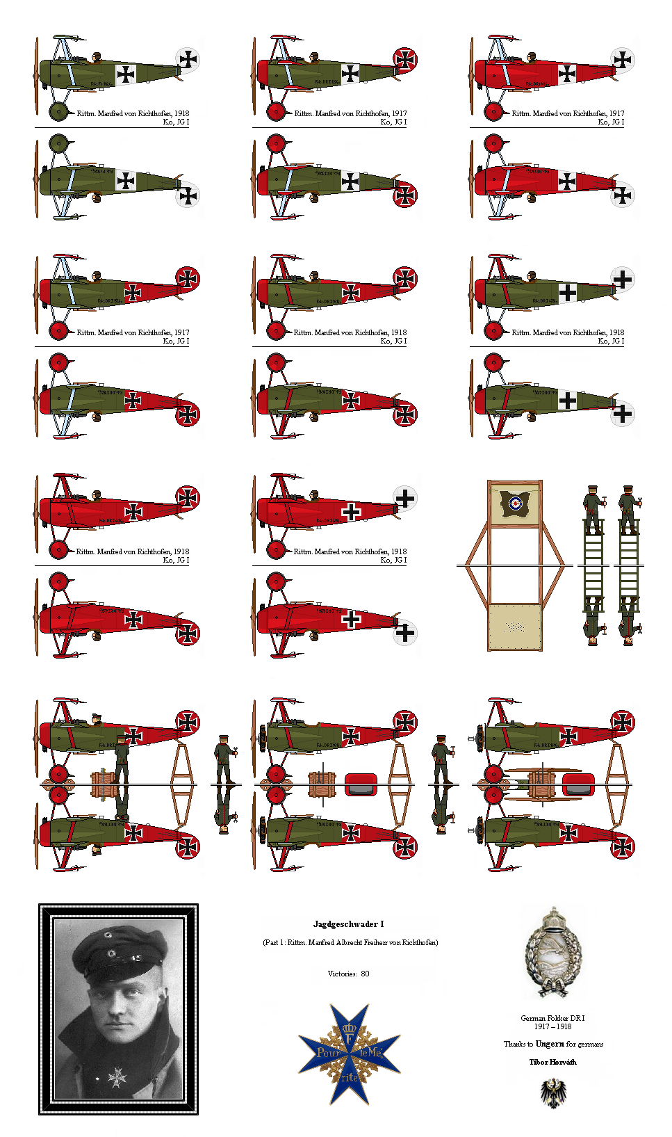 German Fokker DR I